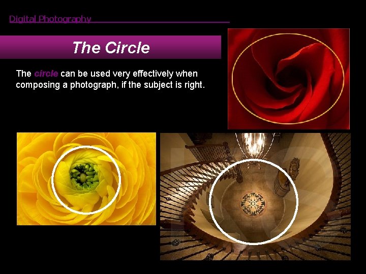 Digital Photography The Circle The circle can be used very effectively when composing a