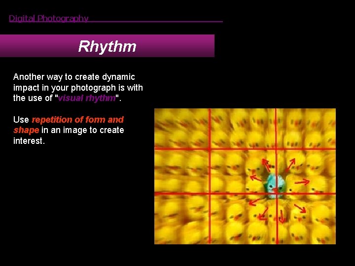 Digital Photography Rhythm Another way to create dynamic impact in your photograph is with