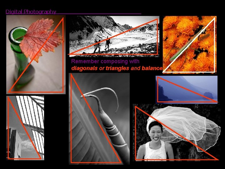 Digital Photography Remember composing with diagonals or triangles and balance 