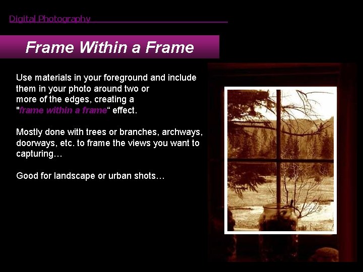 Digital Photography Frame Within a Frame Use materials in your foreground and include them