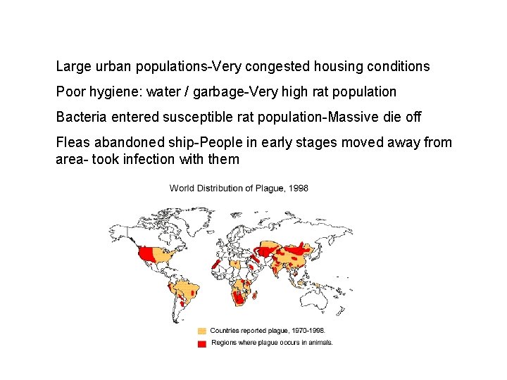 Large urban populations-Very congested housing conditions Poor hygiene: water / garbage-Very high rat population