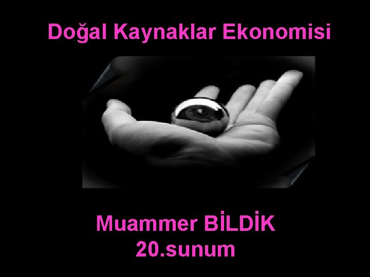 Doğal Kaynaklar Ekonomisi Muammer BİLDİK 20. sunum 