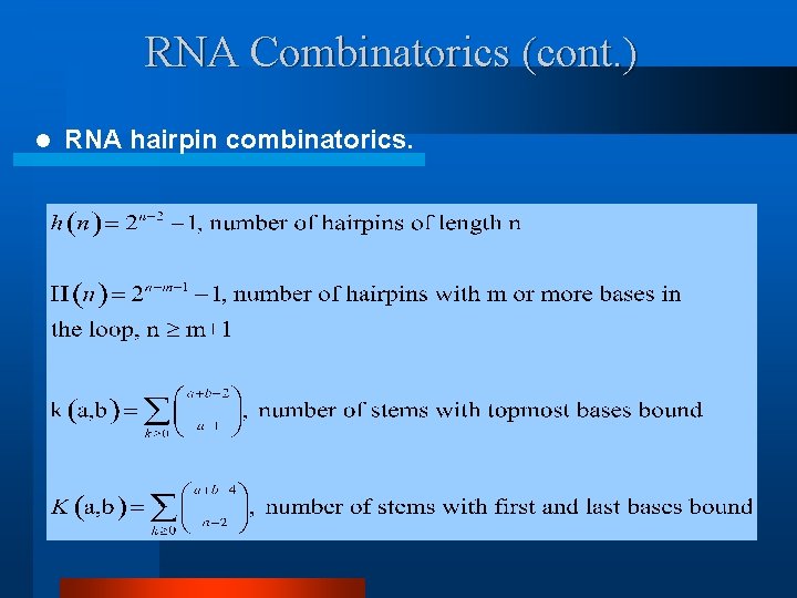 RNA Combinatorics (cont. ) l RNA hairpin combinatorics. 