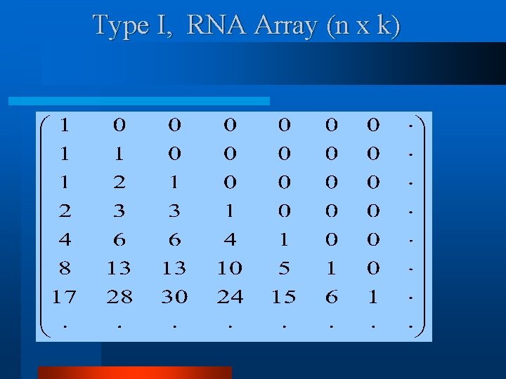 Type I, RNA Array (n x k) 