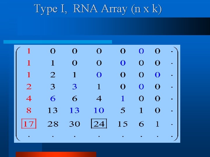 Type I, RNA Array (n x k) 