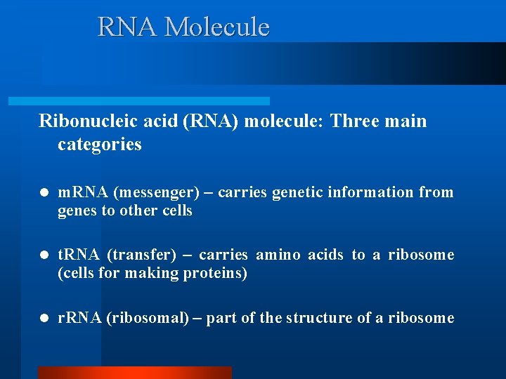 RNA Molecule Ribonucleic acid (RNA) molecule: Three main categories l m. RNA (messenger) –