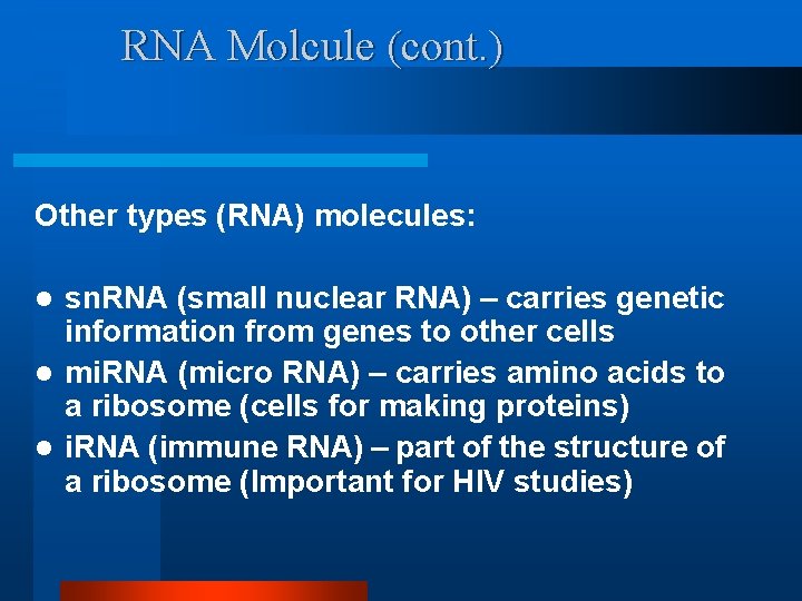 RNA Molcule (cont. ) Other types (RNA) molecules: sn. RNA (small nuclear RNA) –