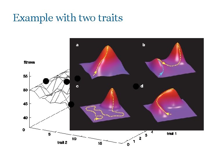 Example with two traits 