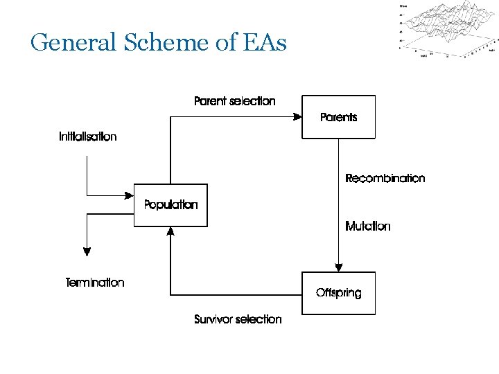 General Scheme of EAs 