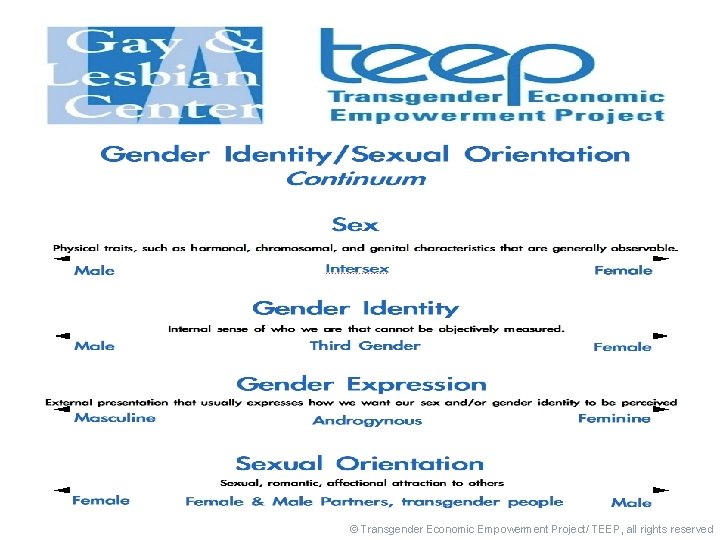 1717 © Transgender Economic Empowerment Project/ TEEP, all rights reserved 