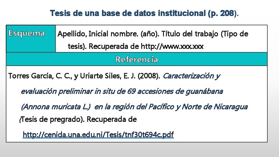 Tesis de una base de datos institucional (p. 208). Esquema Apellido, Inicial nombre. (año).