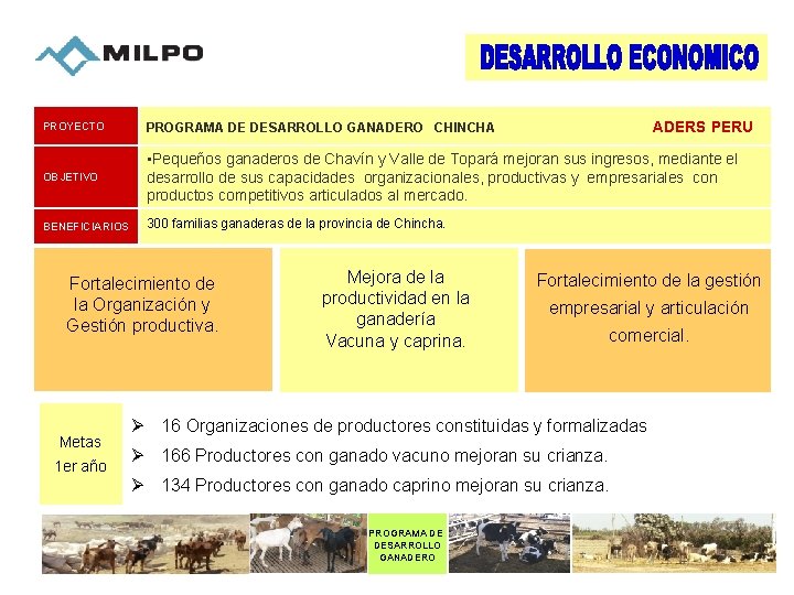 ADERS PERU PROYECTO PROGRAMA DE DESARROLLO GANADERO CHINCHA OBJETIVO • Pequeños ganaderos de Chavín