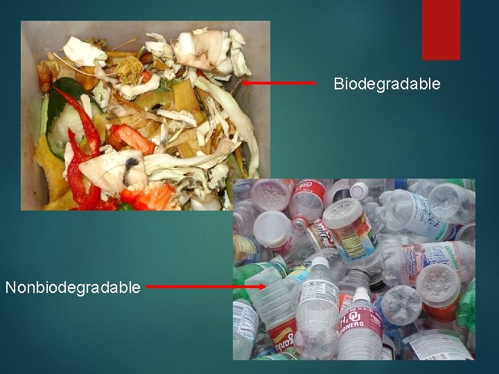 Biodegradable Nonbiodegradable 