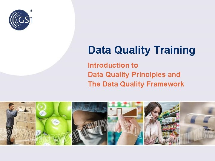 Data Quality Training Introduction to Data Quality Principles and The Data Quality Framework 