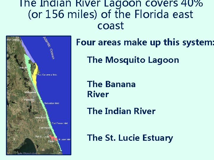 The Indian River Lagoon covers 40% (or 156 miles) of the Florida east coast