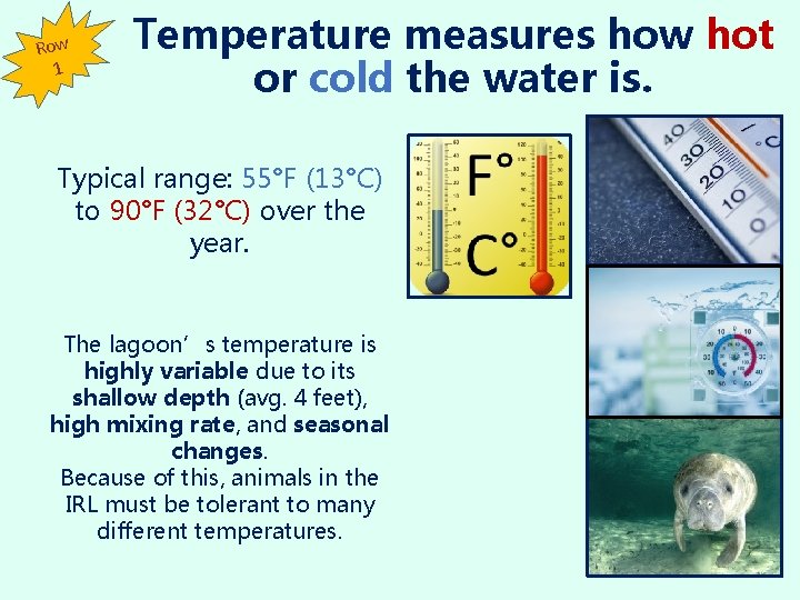 Row 1 Temperature measures how hot or cold the water is. Typical range: 55°F