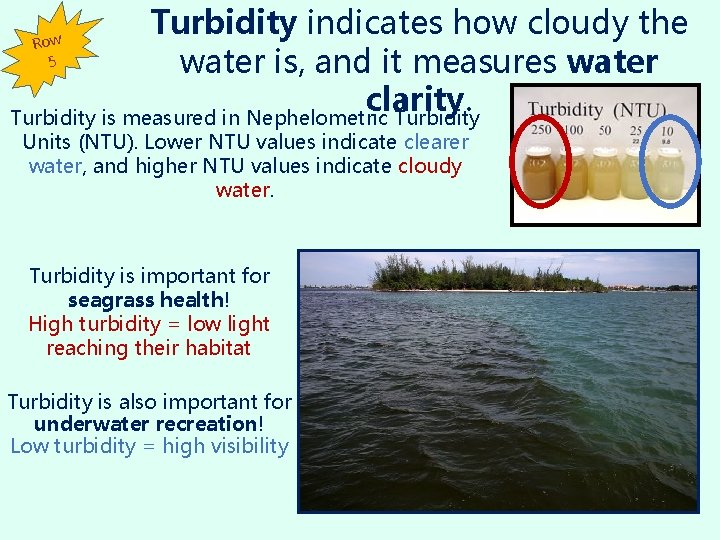 Turbidity indicates how cloudy the water is, and it measures water clarity. Turbidity is