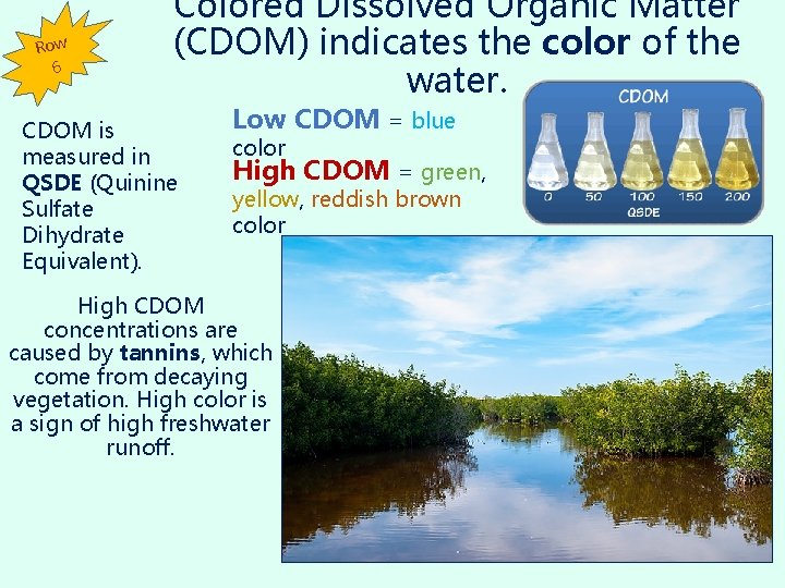 Row 6 Colored Dissolved Organic Matter (CDOM) indicates the color of the water. CDOM