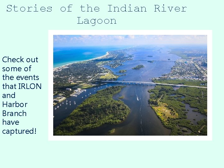 Stories of the Indian River Lagoon Check out some of the events that IRLON
