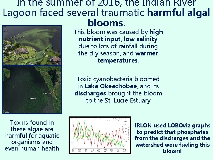 In the summer of 2016, the Indian River Lagoon faced several traumatic harmful algal