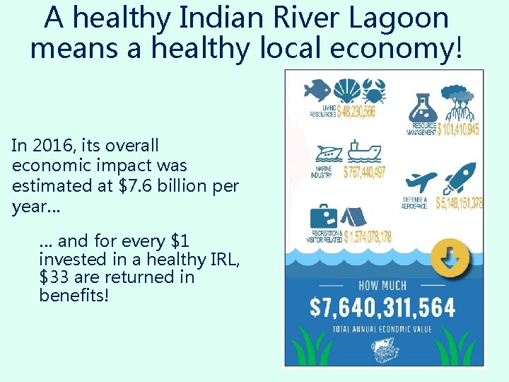 A healthy Indian River Lagoon means a healthy local economy! In 2016, its overall