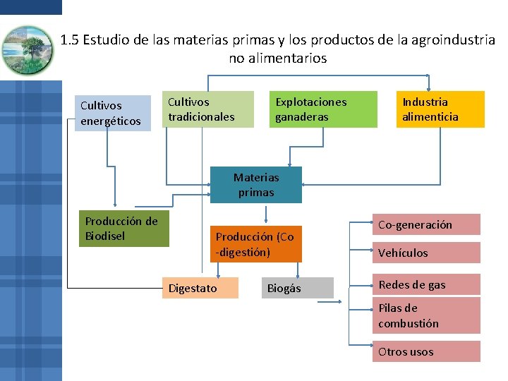 1. 5 Estudio de las materias primas y los productos de la agroindustria no 1. 5 Estudio de las materias primas y los productos de la agroindustria no