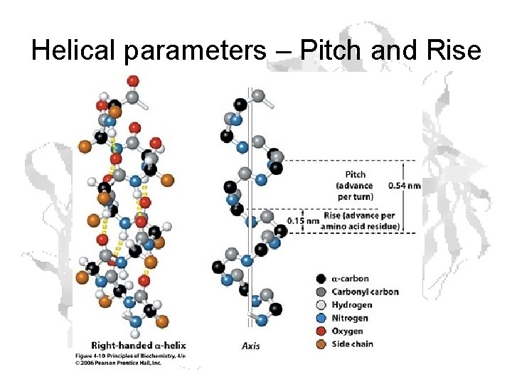 Helical parameters – Pitch and Rise 