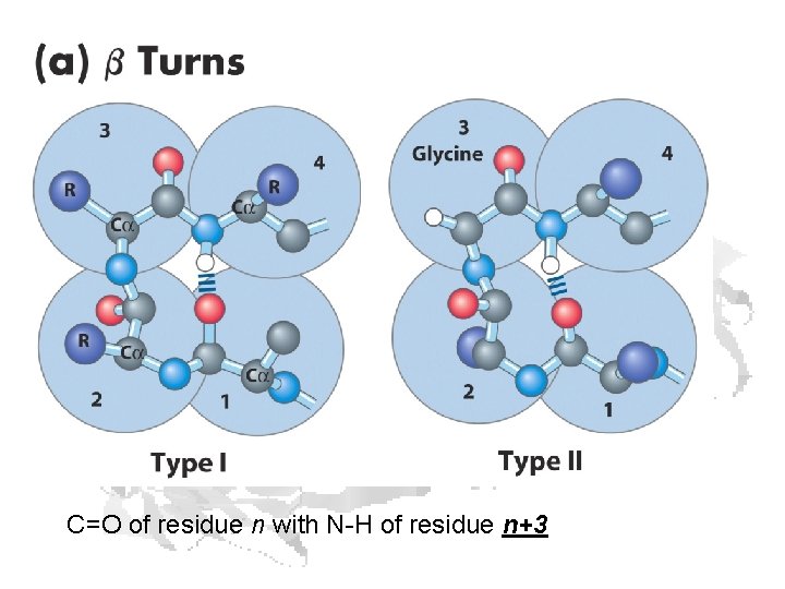 C=O of residue n with N-H of residue n+3 