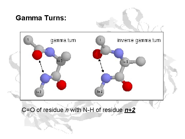 Gamma Turns: C=O of residue n with N-H of residue n+2 