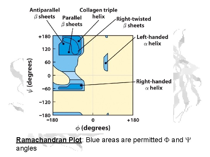 Ramachandran Plot: Blue areas are permitted F and Y angles 