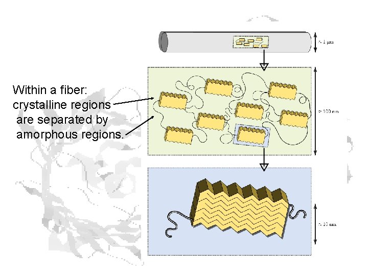 Within a fiber: crystalline regions are separated by amorphous regions. 
