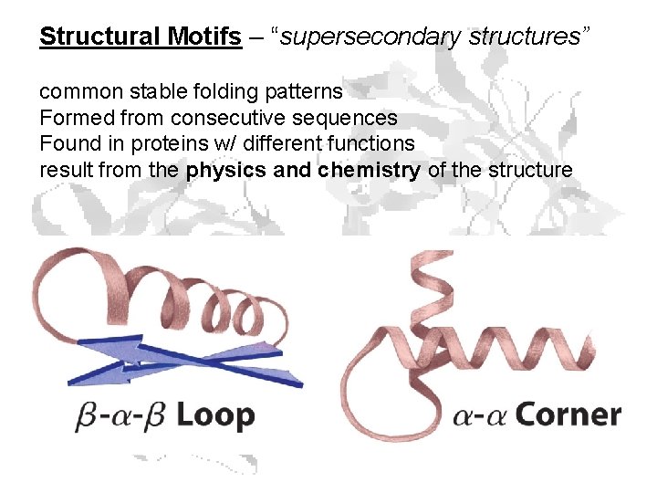 Structural Motifs – “supersecondary structures” common stable folding patterns Formed from consecutive sequences Found