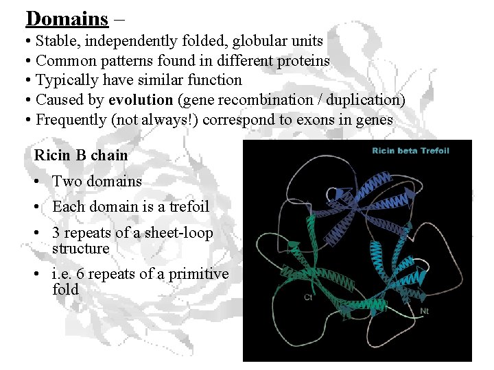 Domains – • Stable, independently folded, globular units • Common patterns found in different