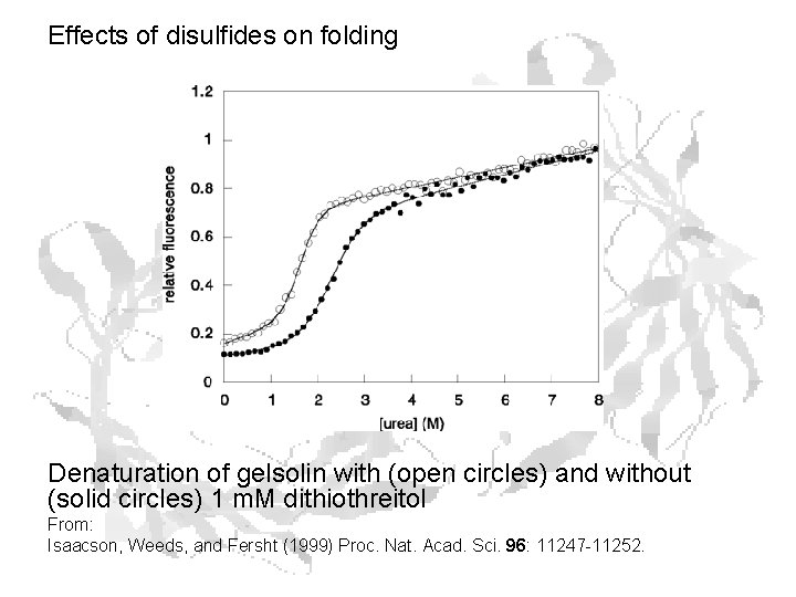 Effects of disulfides on folding Denaturation of gelsolin with (open circles) and without (solid