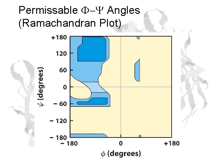 Permissable F-Y Angles (Ramachandran Plot) 