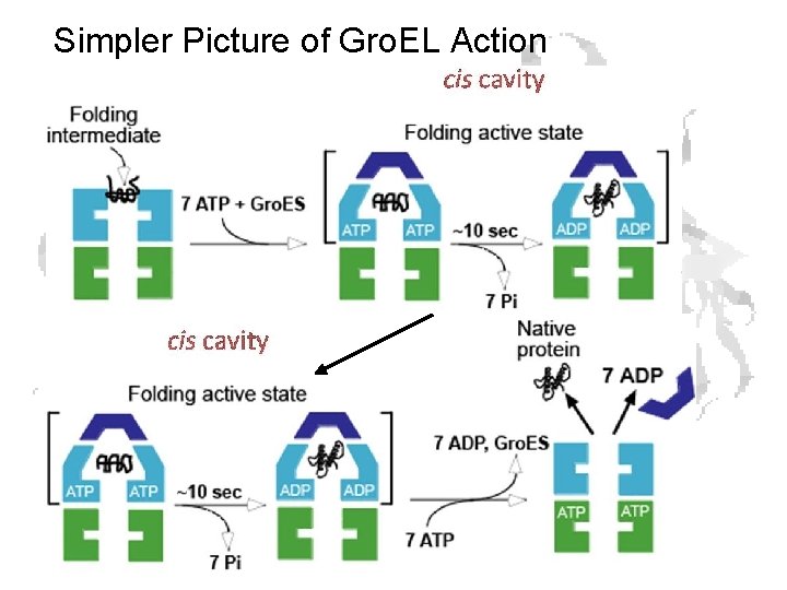 Simpler Picture of Gro. EL Action 
