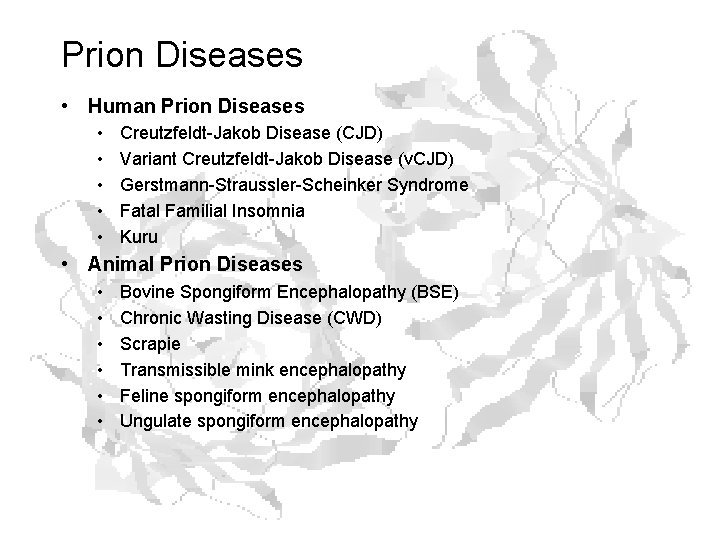 Prion Diseases • Human Prion Diseases • • • Creutzfeldt-Jakob Disease (CJD) Variant Creutzfeldt-Jakob
