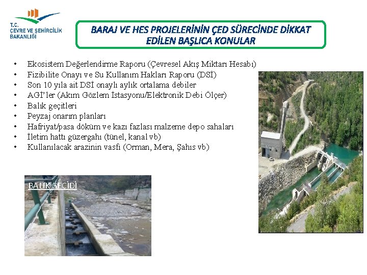 BARAJ VE HES PROJELERİNİN ÇED SÜRECİNDE DİKKAT EDİLEN BAŞLICA KONULAR • • • Ekosistem
