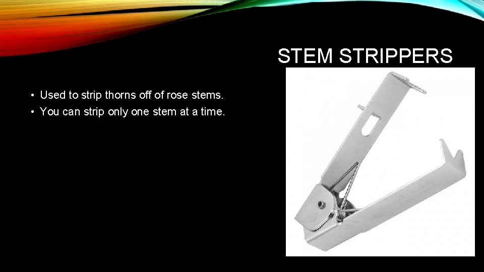 STEM STRIPPERS • Used to strip thorns off of rose stems. • You can