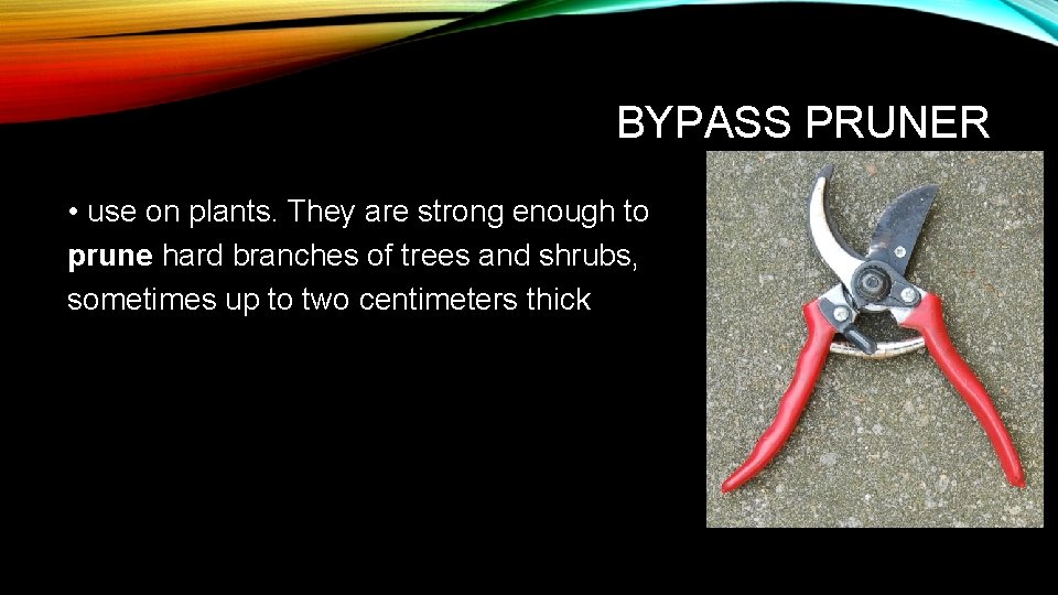 BYPASS PRUNER • use on plants. They are strong enough to prune hard branches