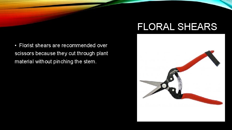 FLORAL SHEARS • Florist shears are recommended over scissors because they cut through plant