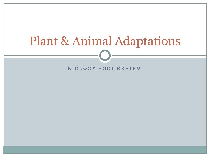 Plant & Animal Adaptations BIOLOGY EOCT REVIEW 