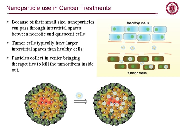Nanoparticle use in Cancer Treatments • Because of their small size, nanoparticles can pass Nanoparticle use in Cancer Treatments • Because of their small size, nanoparticles can pass