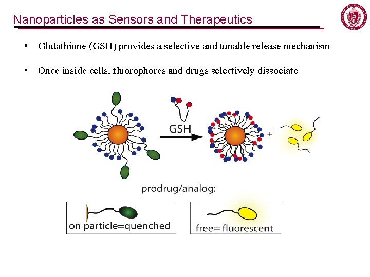 Nanoparticles as Sensors and Therapeutics • Glutathione (GSH) provides a selective and tunable release Nanoparticles as Sensors and Therapeutics • Glutathione (GSH) provides a selective and tunable release