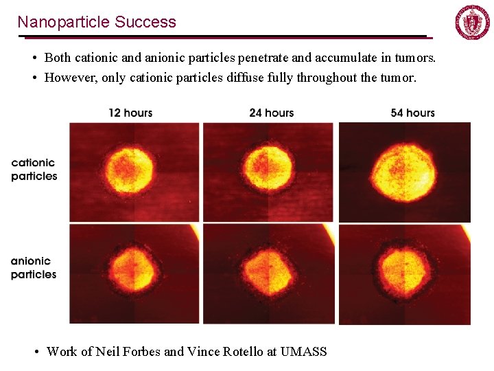 Nanoparticle Success • Both cationic and anionic particles penetrate and accumulate in tumors. • Nanoparticle Success • Both cationic and anionic particles penetrate and accumulate in tumors. •