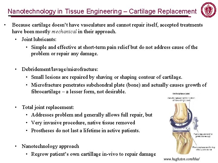 Nanotechnology in Tissue Engineering – Cartilage Replacement • Because cartilage doesn’t have vasculature and Nanotechnology in Tissue Engineering – Cartilage Replacement • Because cartilage doesn’t have vasculature and