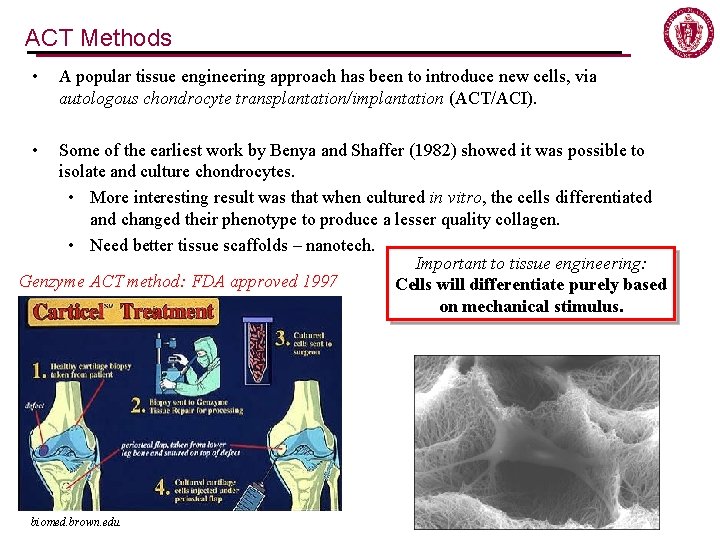 ACT Methods • A popular tissue engineering approach has been to introduce new cells, ACT Methods • A popular tissue engineering approach has been to introduce new cells,