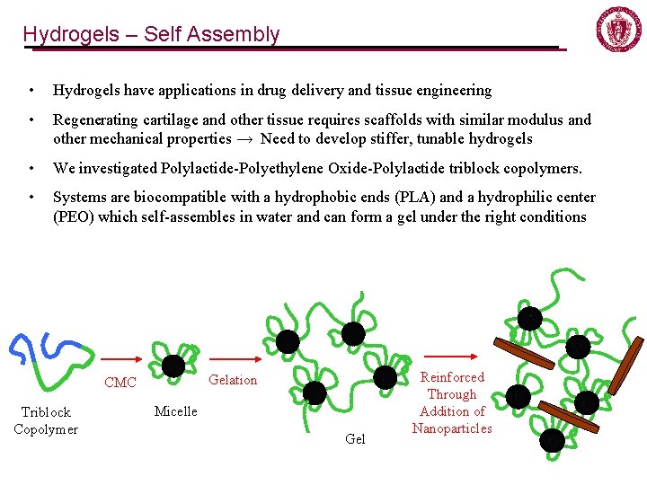 Hydrogels – Self Assembly • Hydrogels have applications in drug delivery and tissue engineering Hydrogels – Self Assembly • Hydrogels have applications in drug delivery and tissue engineering
