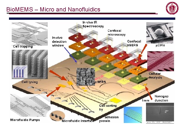 Bio. MEMS – Micro and Nanofluidics Bio. MEMS – Micro and Nanofluidics