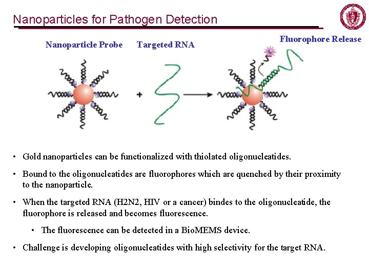 Nanoparticles for Pathogen Detection Nanoparticle Probe Targeted RNA Fluorophore Release • Gold nanoparticles can Nanoparticles for Pathogen Detection Nanoparticle Probe Targeted RNA Fluorophore Release • Gold nanoparticles can